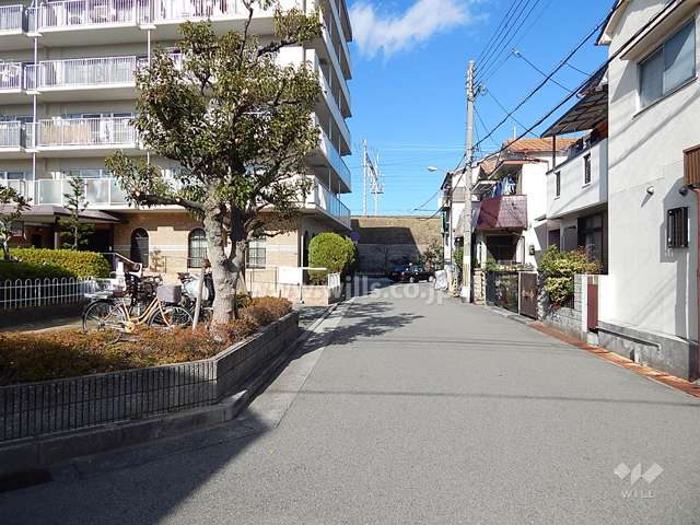 敷地東側の前面道路