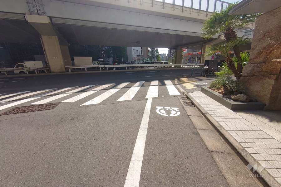 敷地東側の前面道路