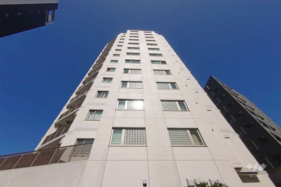 レグノラフィネ南青山の外観（南西側から）