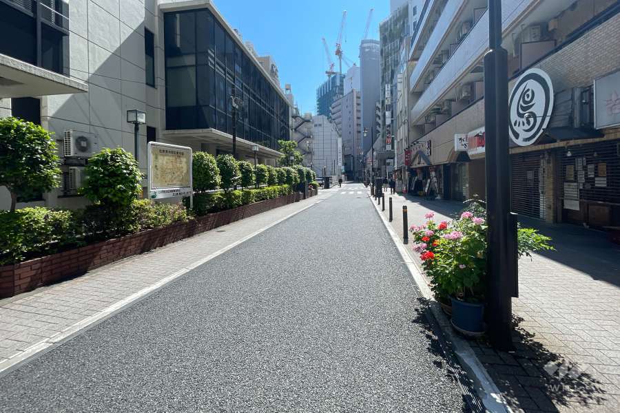 敷地北側の前面道路