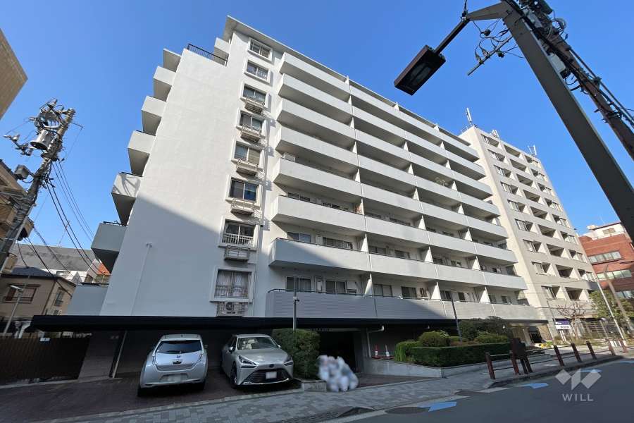 麻布東町マンションの外観（東側から）