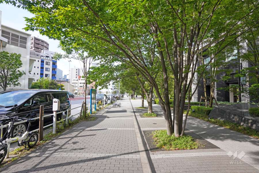 敷地西側の前面道路（南側から）