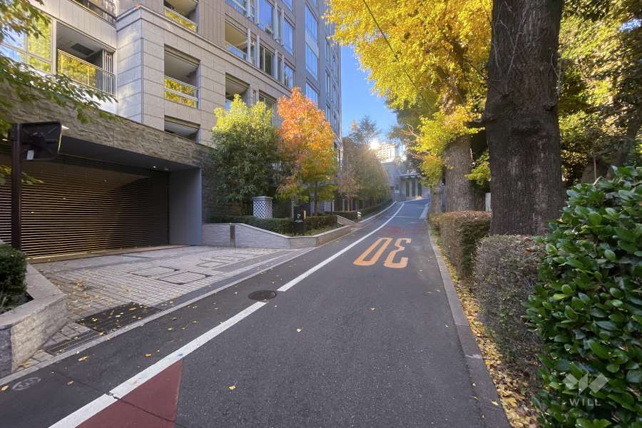 敷地西側の前面道路
