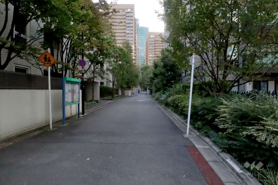 敷地南東側の前面道路