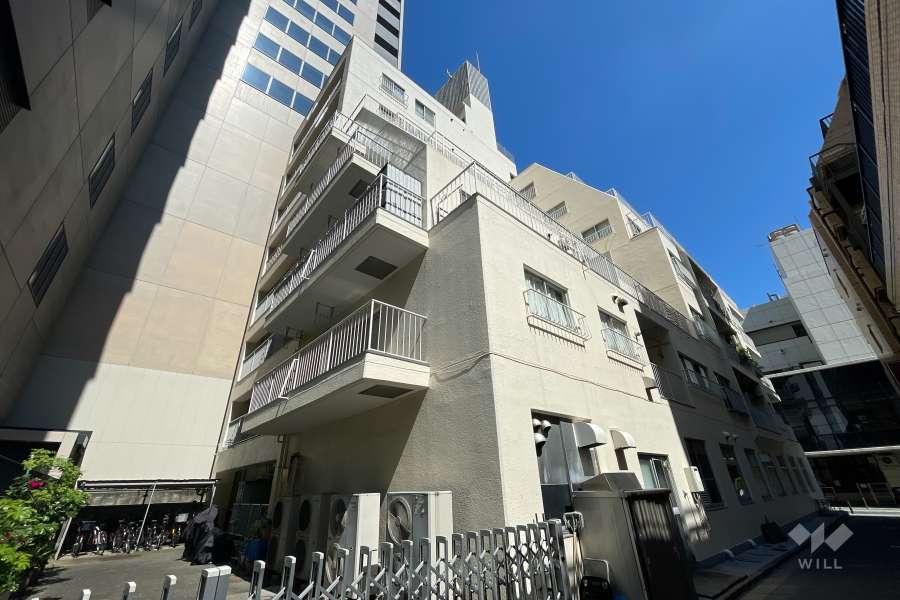 マンションの外観（南東側から）