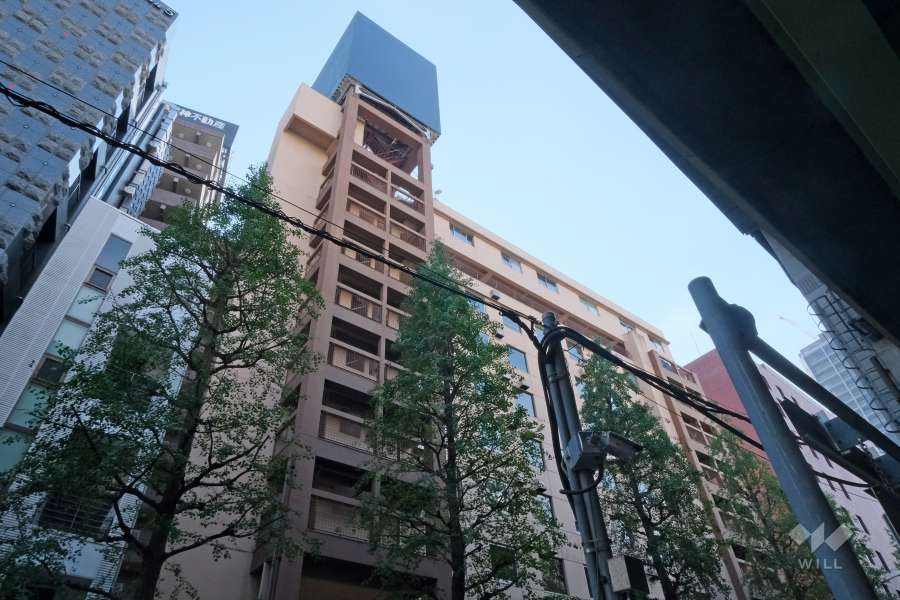 麻布エンパイアマンションの外観（北東側から）