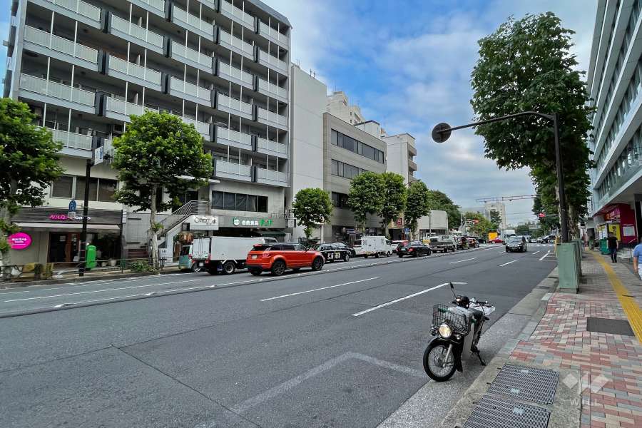 敷地西側の前面道路（北側から）