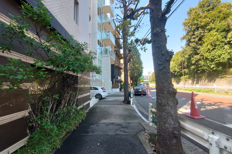 敷地の北東側前面道路（南東側から）