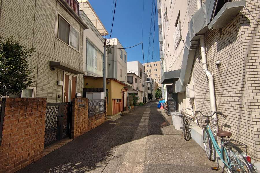 敷地の南西側前面道路（南東側から）