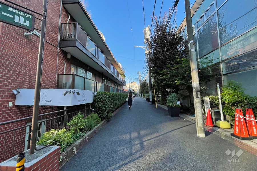 敷地の南西側前面道路（北西側から）