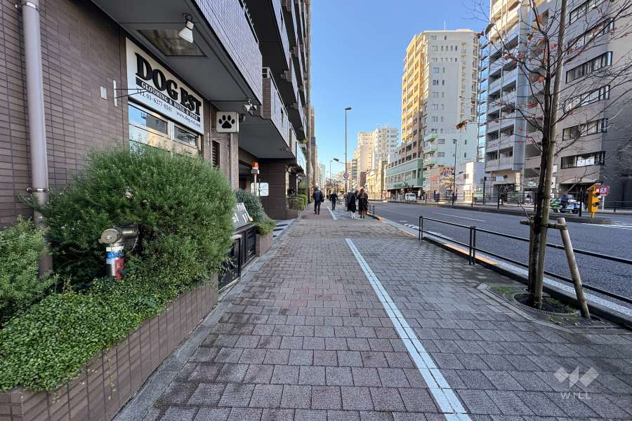 敷地北西側の前面道路