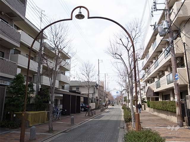 敷地北側の前面道路はインターロッキング舗装され、街路樹のきれいな通りです。