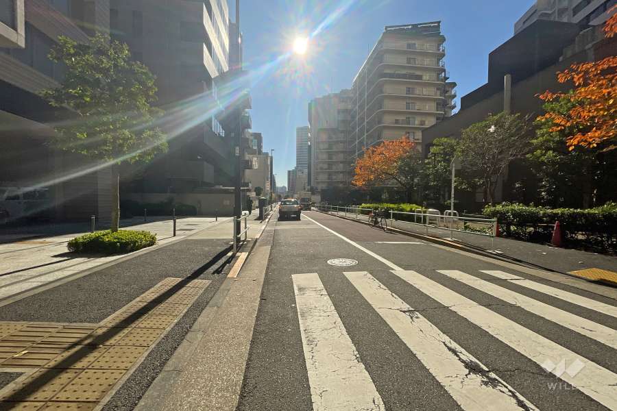 敷地西側の前面道路（北側から）