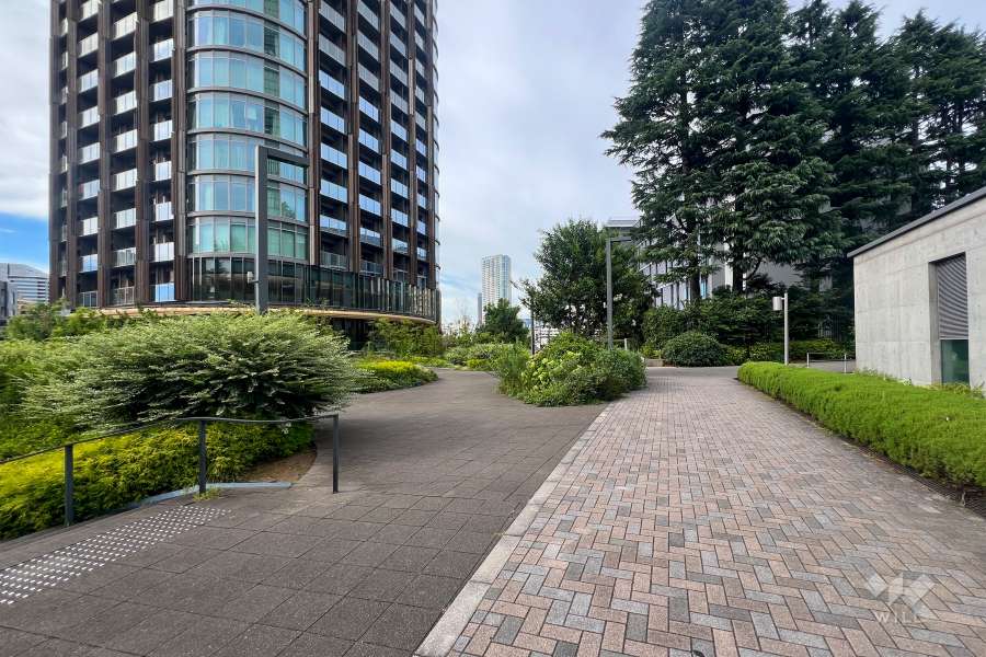 敷地南側の遊歩道