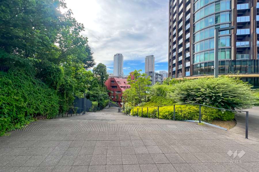 敷地南側の遊歩道