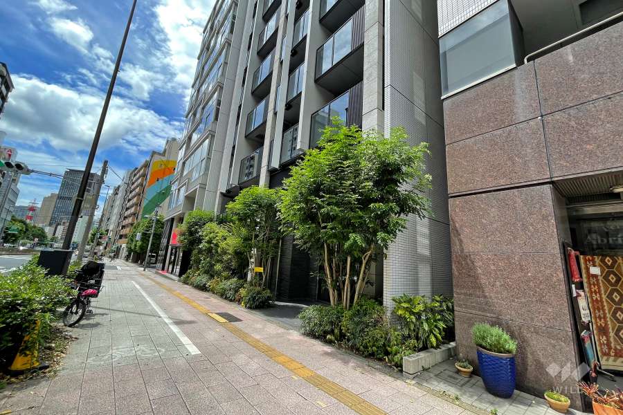 敷地東側の前面道路