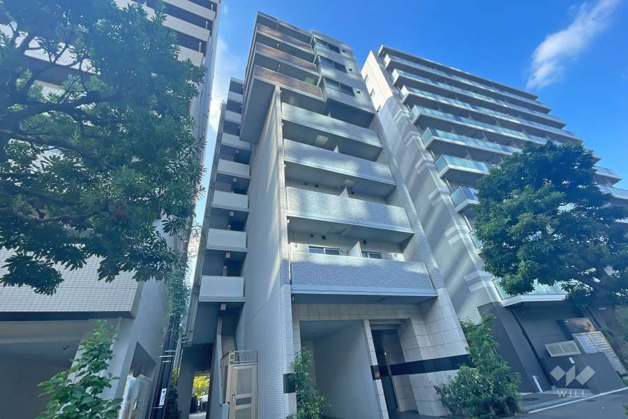 ディアレイシャス港区海岸の外観（南東側から）