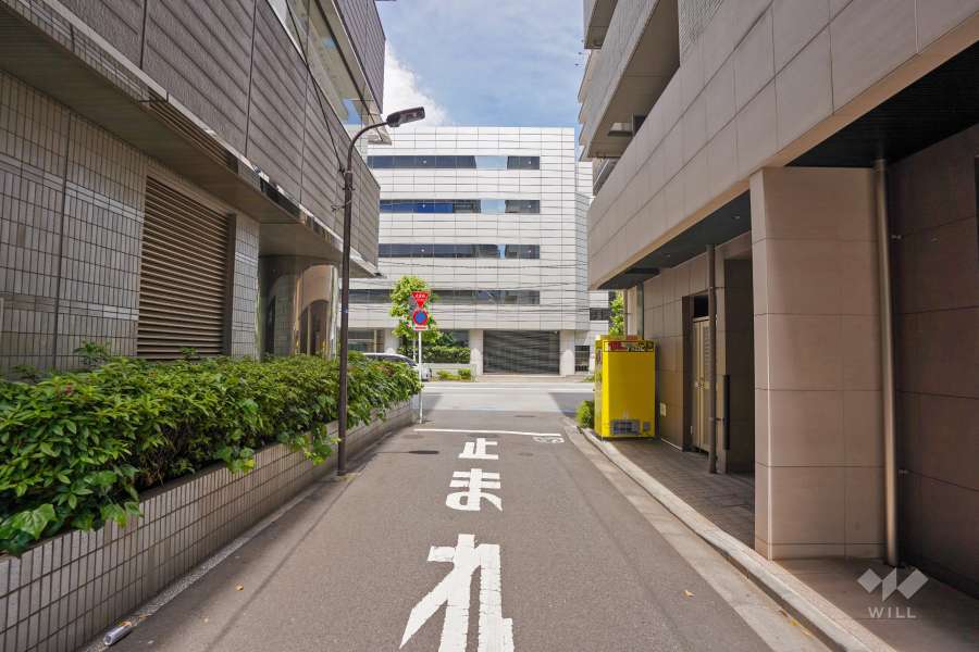 敷地西側の前面道路（南側から）