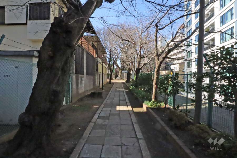 敷地南側の前面道路