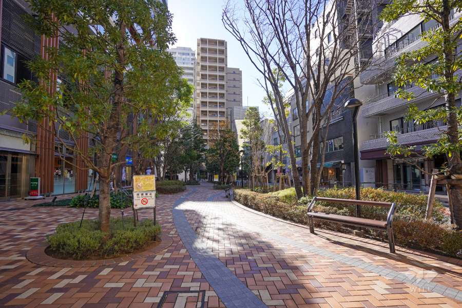 敷地西側の前面道路（北側から）