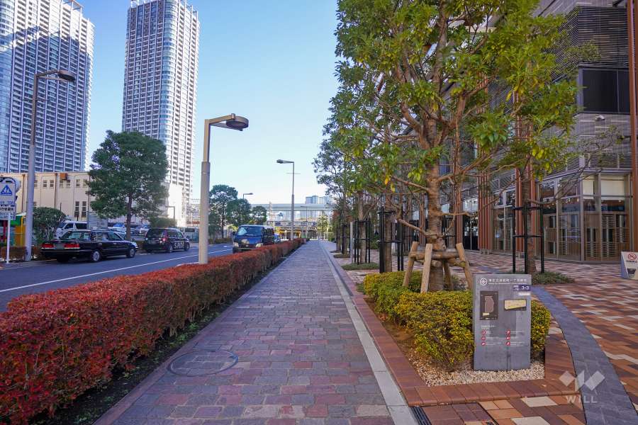 敷地北側の前面道路（西側から）