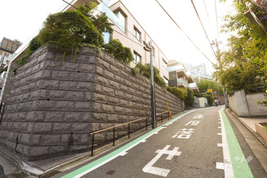 敷地の北西側前面道路（北東側から）