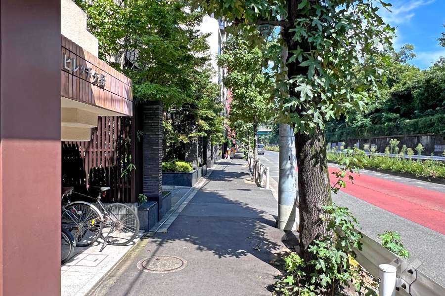 敷地の東側前面道路（南側から）