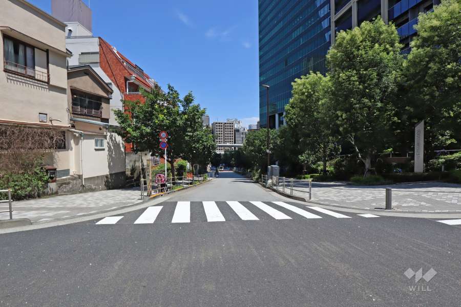 敷地西側の前面道路(南側から)