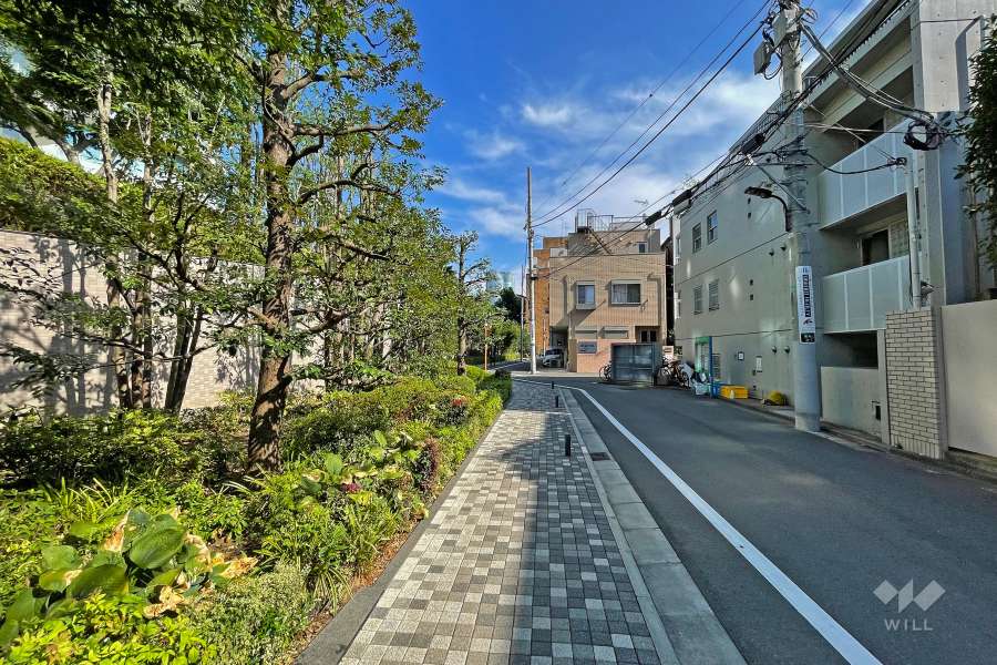 敷地西側の前面道路（北側から）