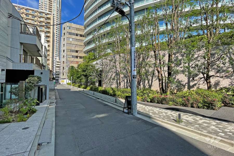 敷地の西側前面道路（南側から）