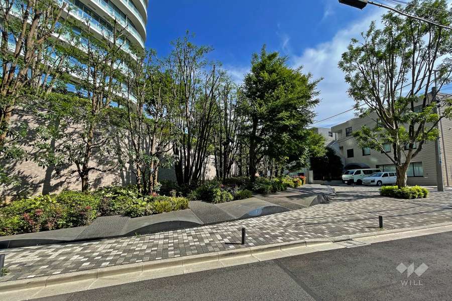 敷地北側の前面道路（北側から）