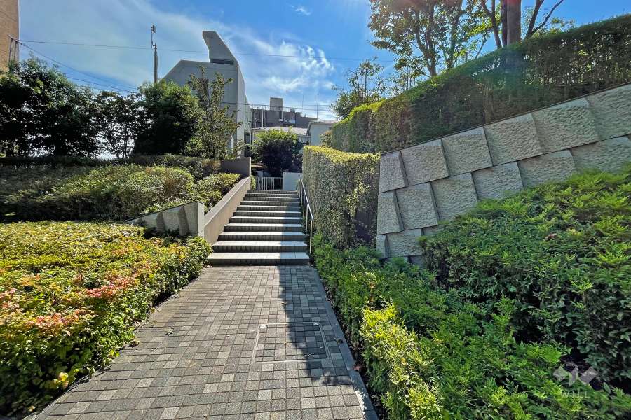敷地南側の前面道路（東側から）