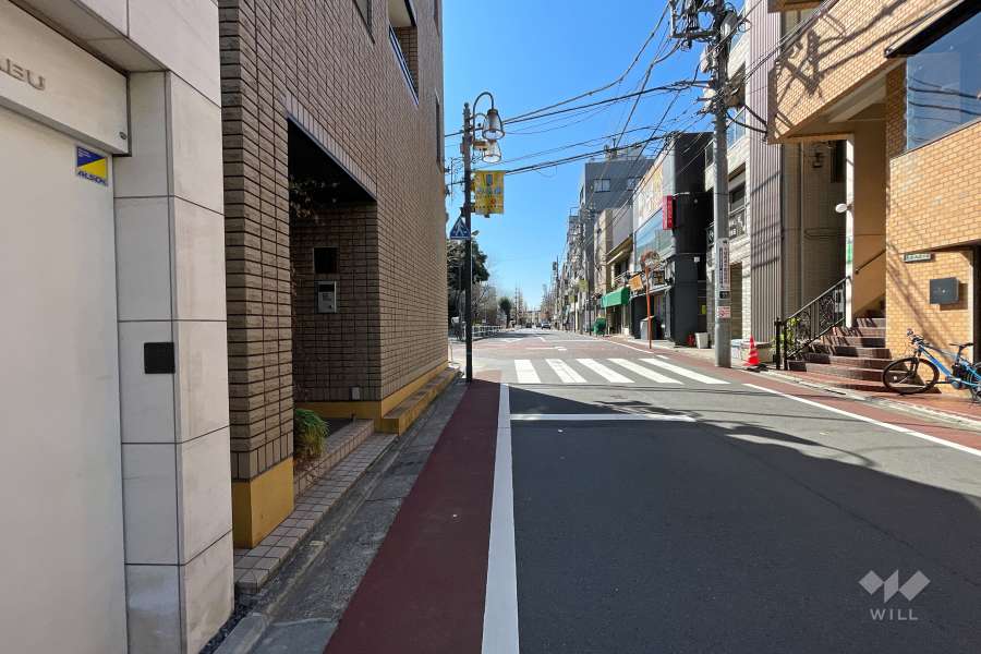 敷地西側の前面道路（北側から）