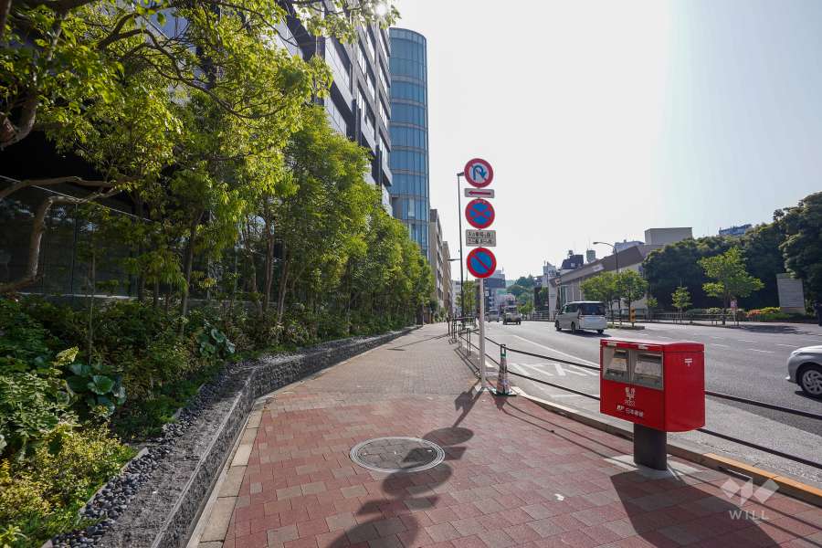 敷地南側の前面道路（西側から）