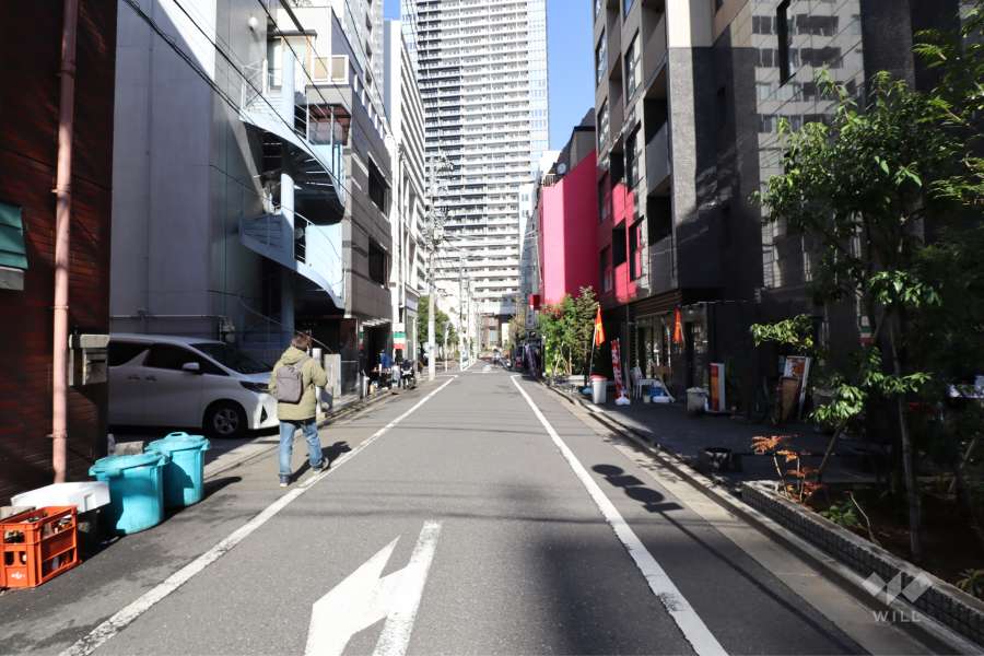 敷地西側の前面道路（南側から）