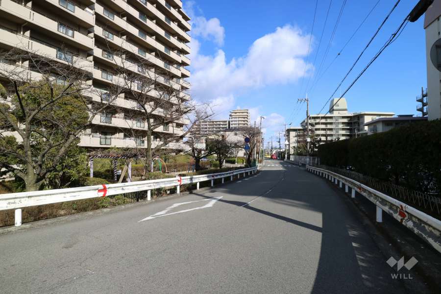 敷地南側の前面道路