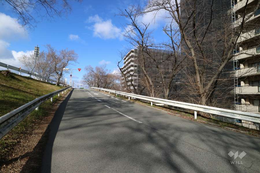 敷地西側の前面道路。道を挟んで武庫川が流れています。