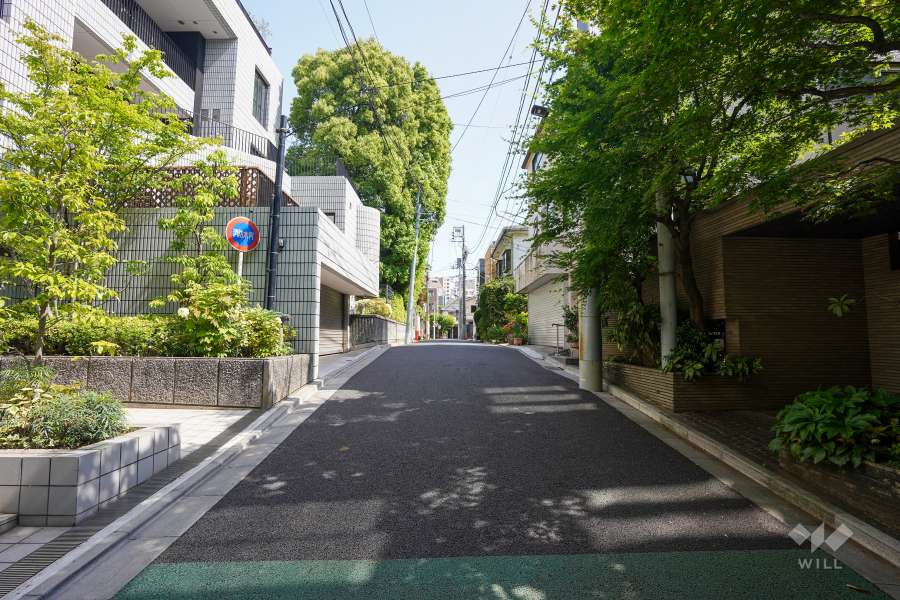 敷地東側の前面道路（南側から）