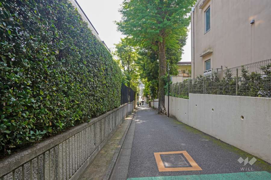 敷地南側の前面道路（西側から）