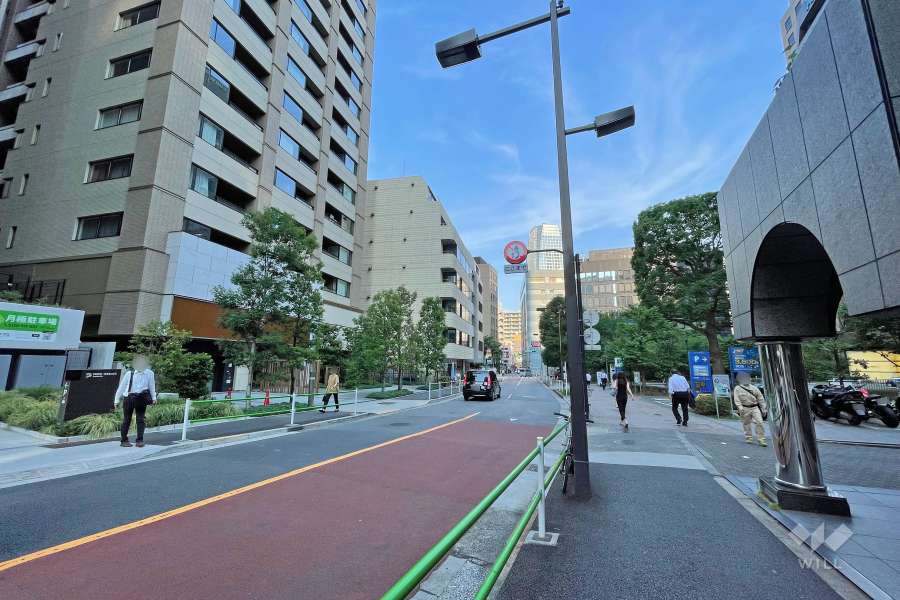 敷地南側の前面道路（西側から）