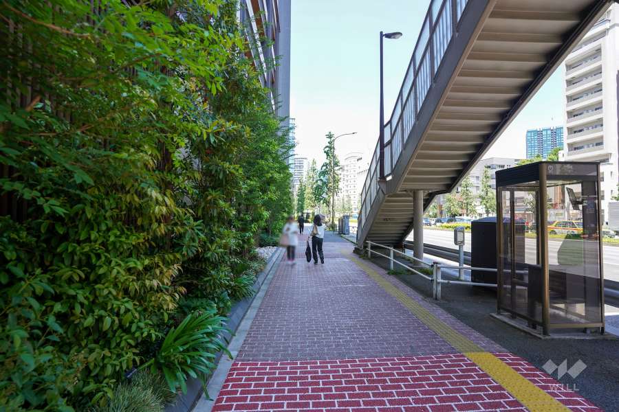 敷地東側の前面道路（南側から）