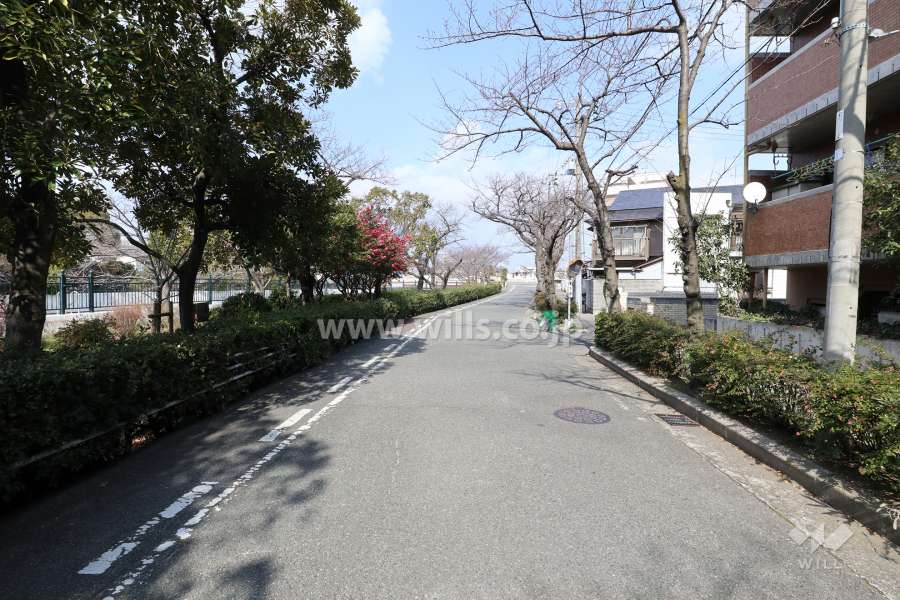 西側前面道路(南側から)