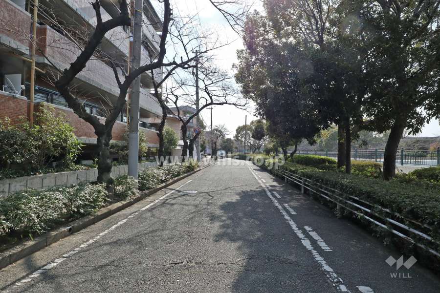 西側前面道路(北側から)
