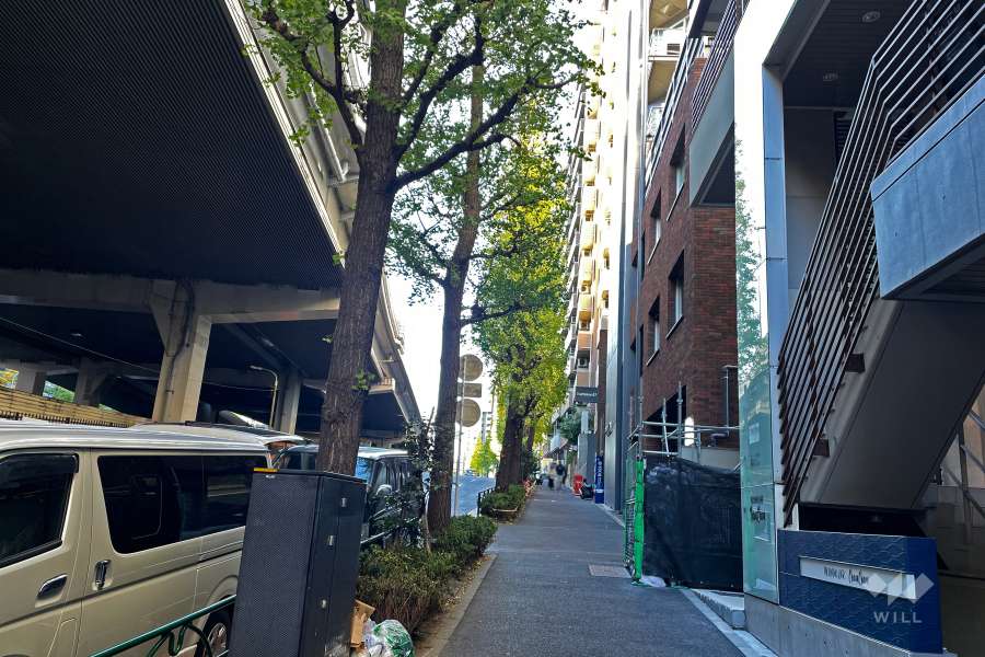 敷地南側の前面道路（東側から）