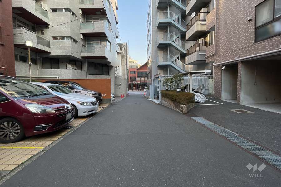 敷地東側の前面道路　