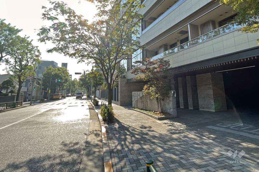 敷地南東側の前面道路（北東側から）