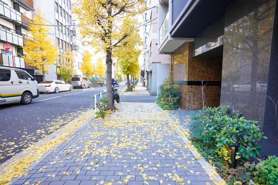 敷地南側の前面道路（西側から）
