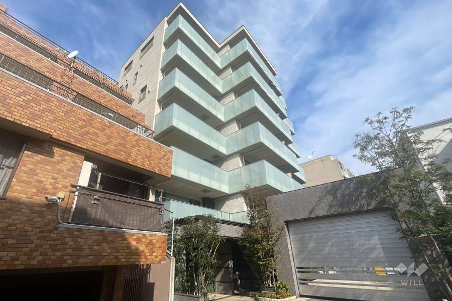 ロイヤルシーズン南麻布の外観（南西側から）