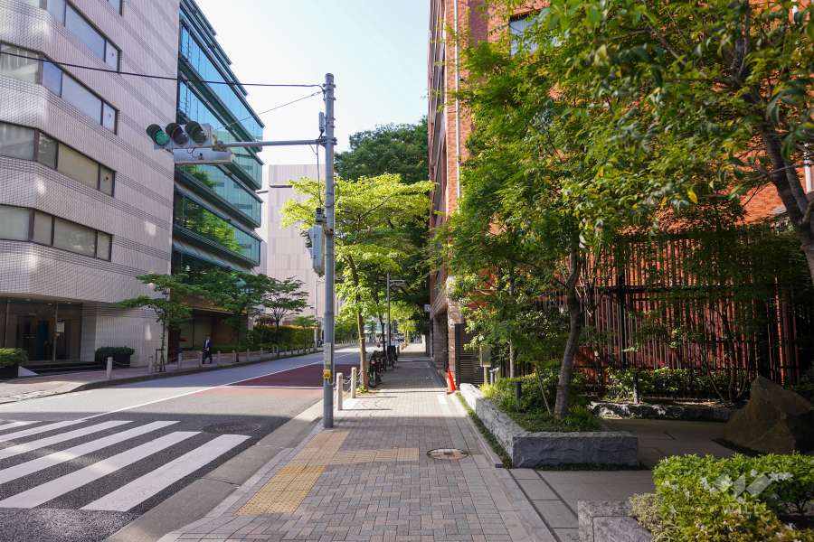 敷地西側の前面道路（南側から）