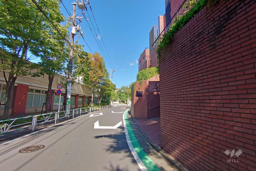 敷地北側の前面道路（西側から）